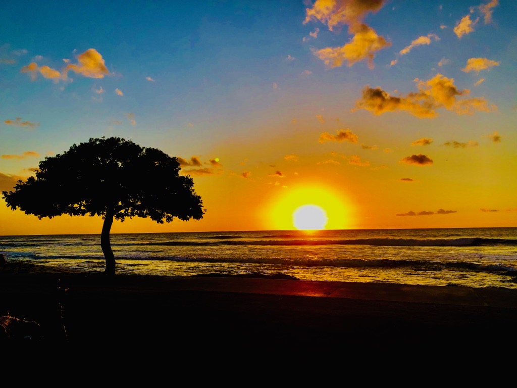 Luxury Hawaii Dining Room