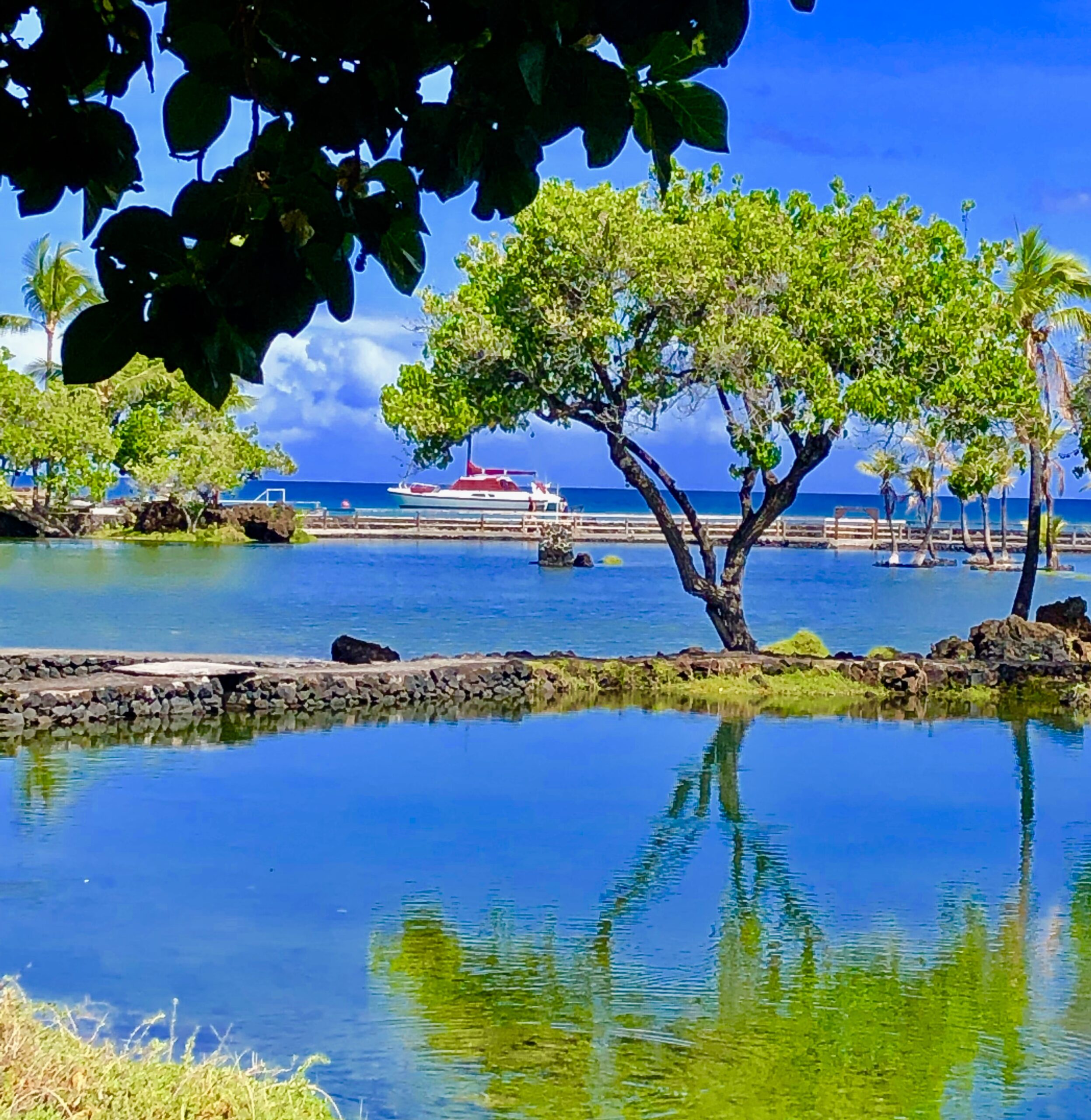 Tropical Paradise